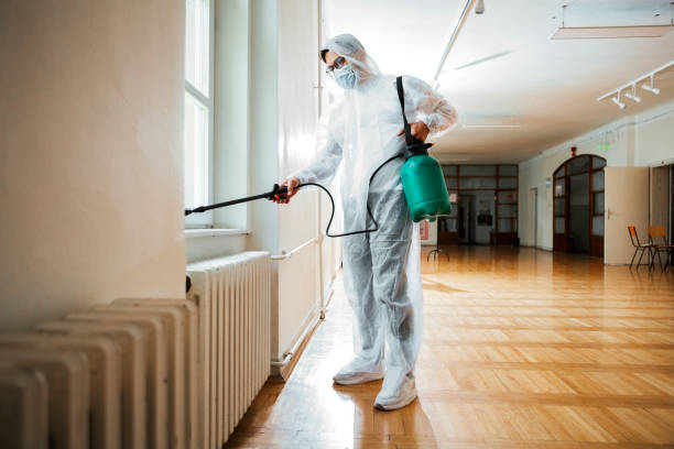 Best Flea Control Services  in Old Jamestown, MO